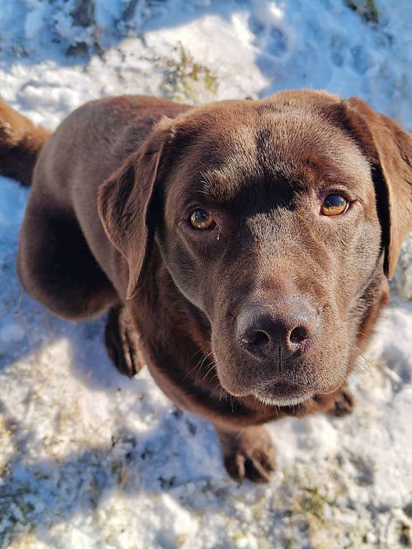 A Highland Escape: Caley Water’s Annual Bothy Adventure